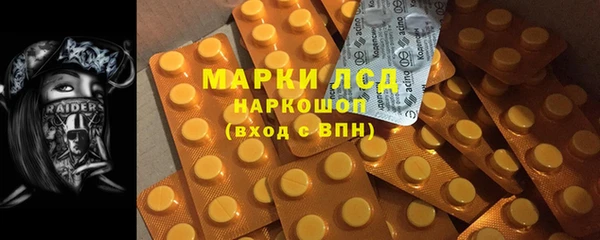 шишки Бронницы